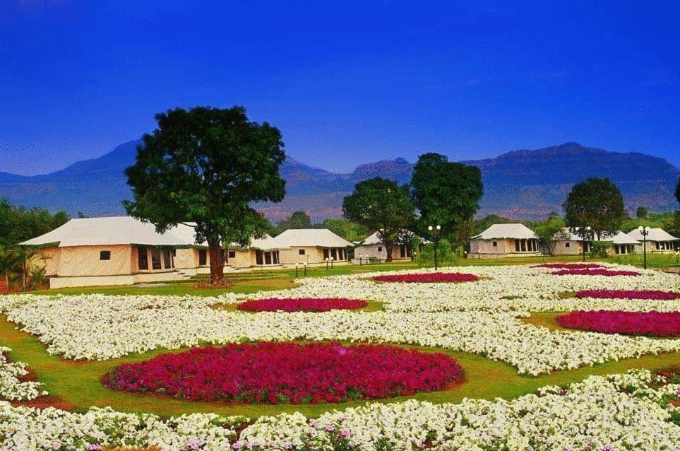 Aamby Valley City Lonavala Εξωτερικό φωτογραφία Flower garden in the resort